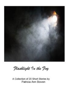 Front cover of Flashlight in the Fog